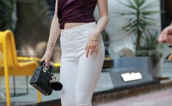 我想用我的乌龟蹭你的扇贝小说